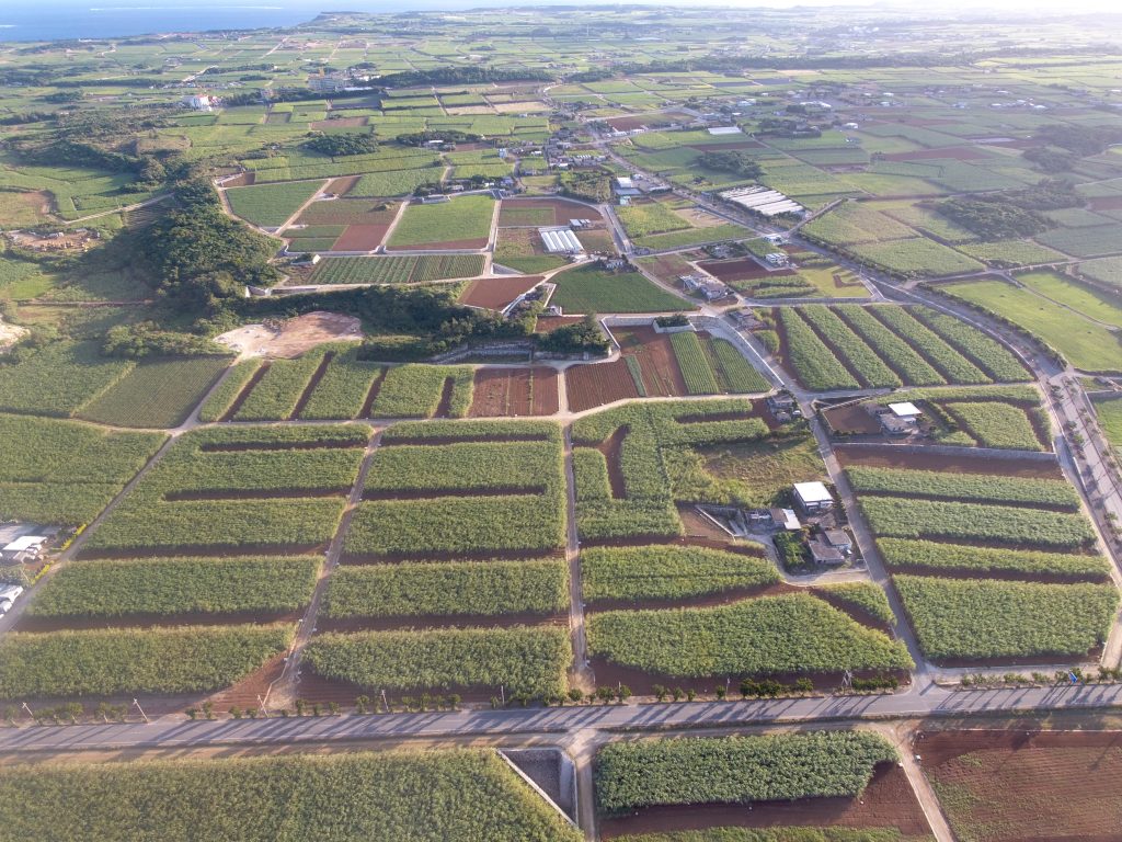 宮古島市ウヅラ嶺地区畑地かんがい施設工事【宮古島市】BEFORE